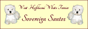 Banner Sovereign Santos Westies