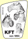 KfT Logo