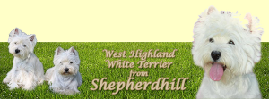 Logo Shepherdhill Westies