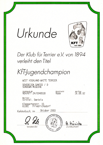 KfT Jugendchampion Urkunde